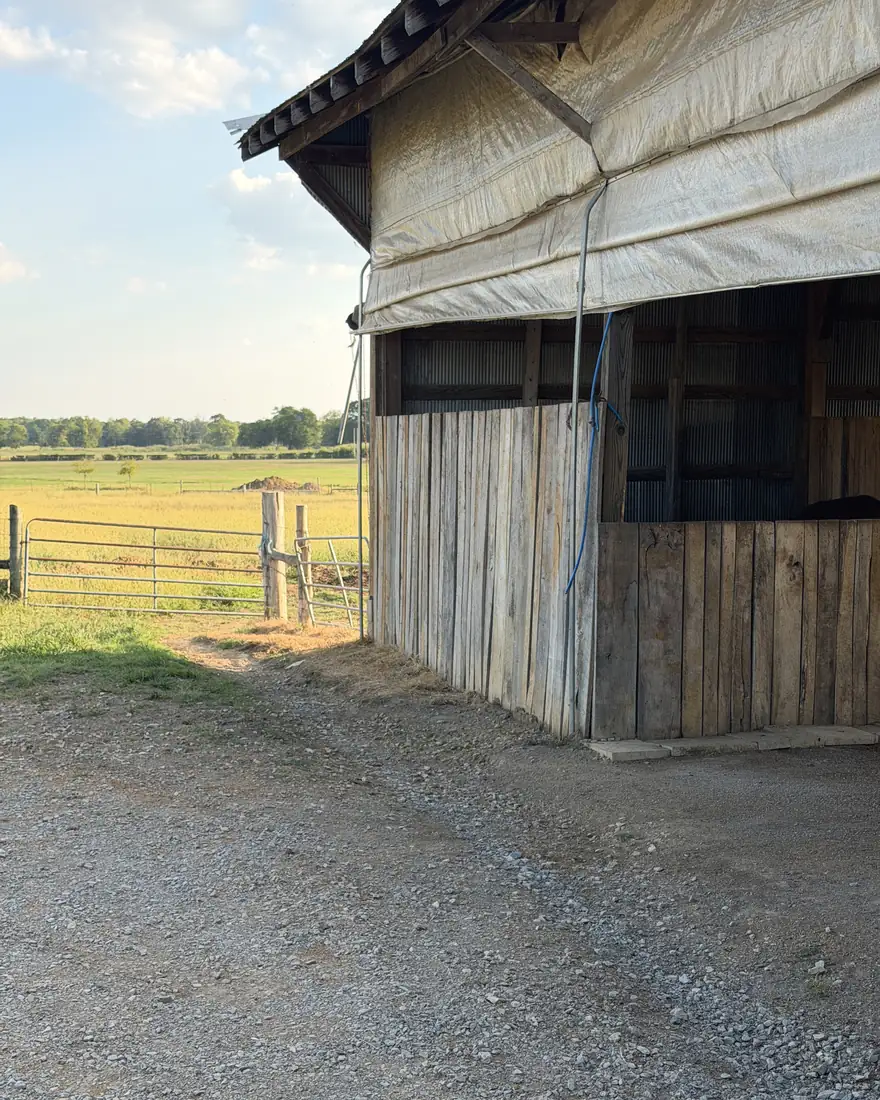 The open bay of the barn looking out to open ground