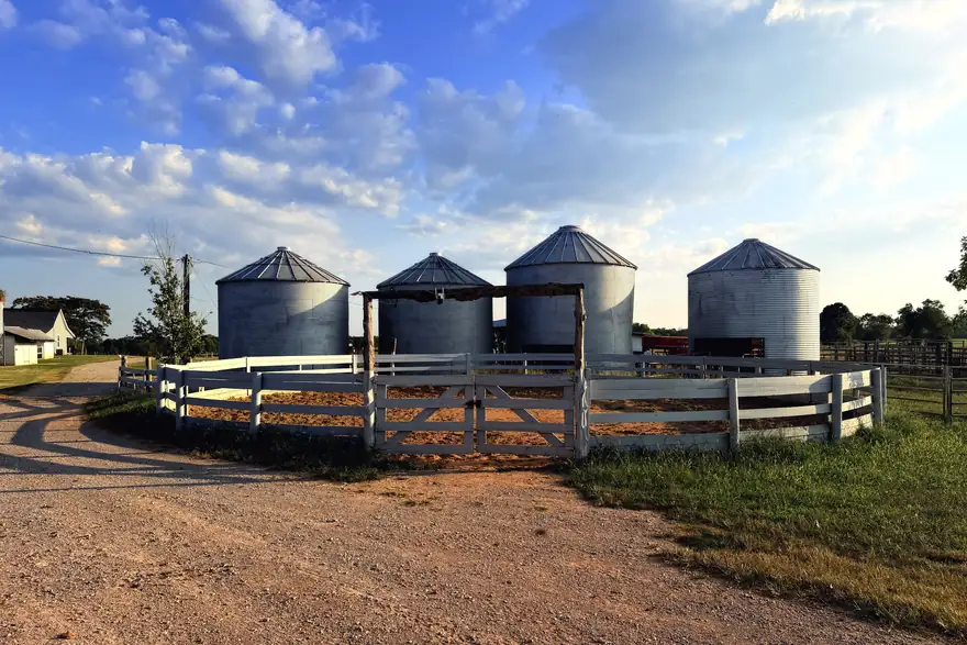 The white rail and the drive curving past the grain bins
