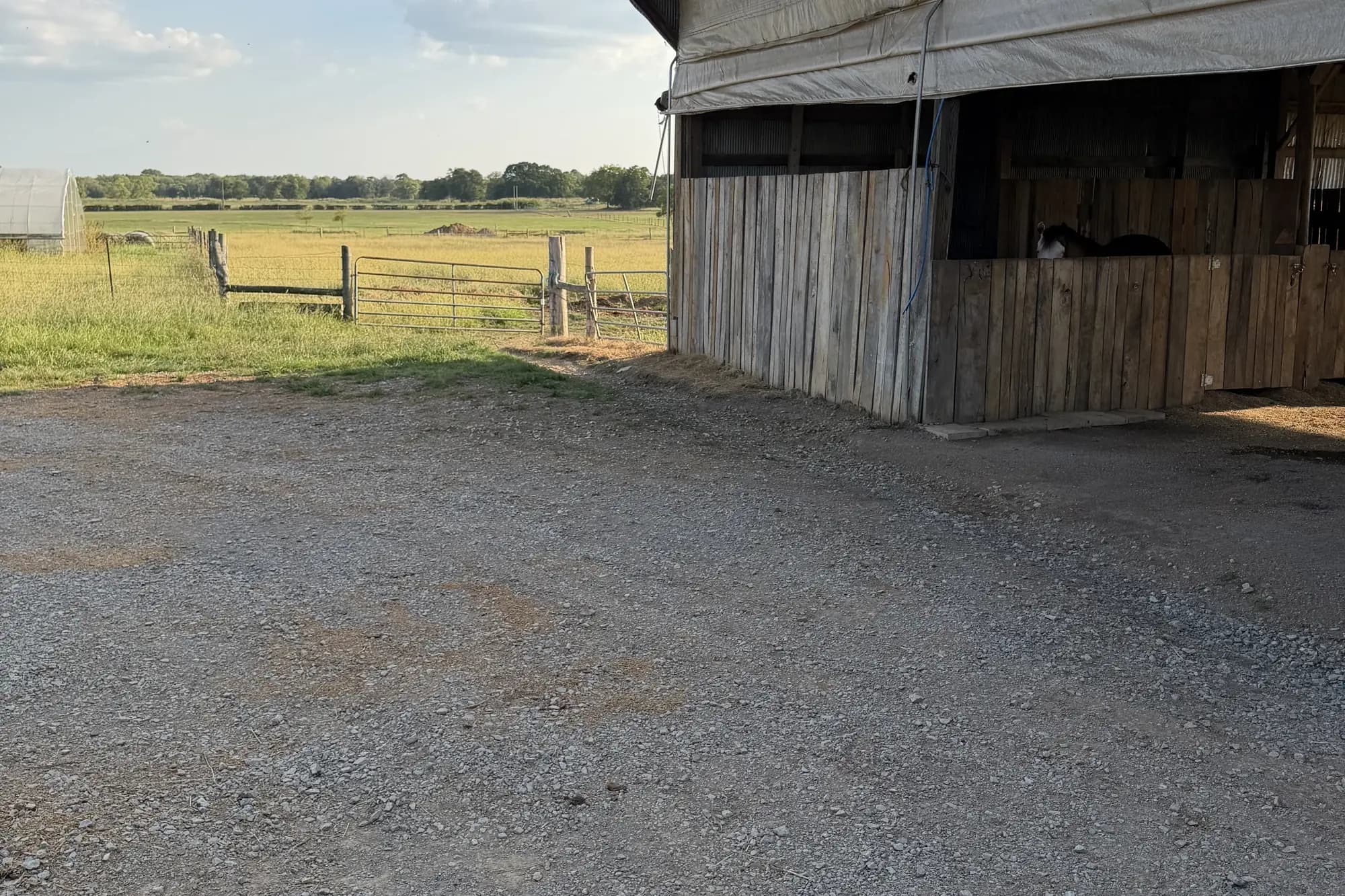 An open wooden barn beside a gravel yard at Rancho Jaramillo, pasture and fences beyond
