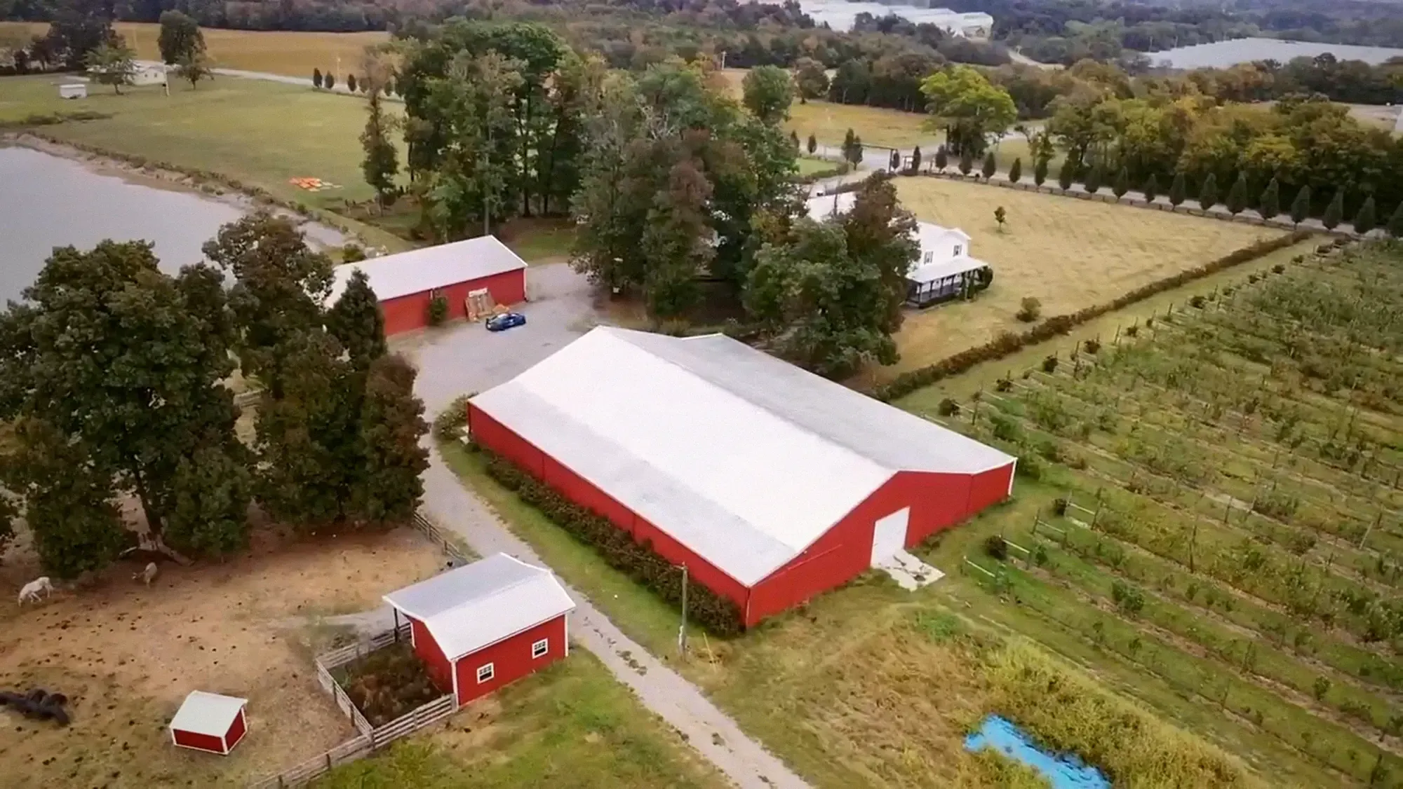 The long red barn with a white roof beside the pond and the apple rows, from the air