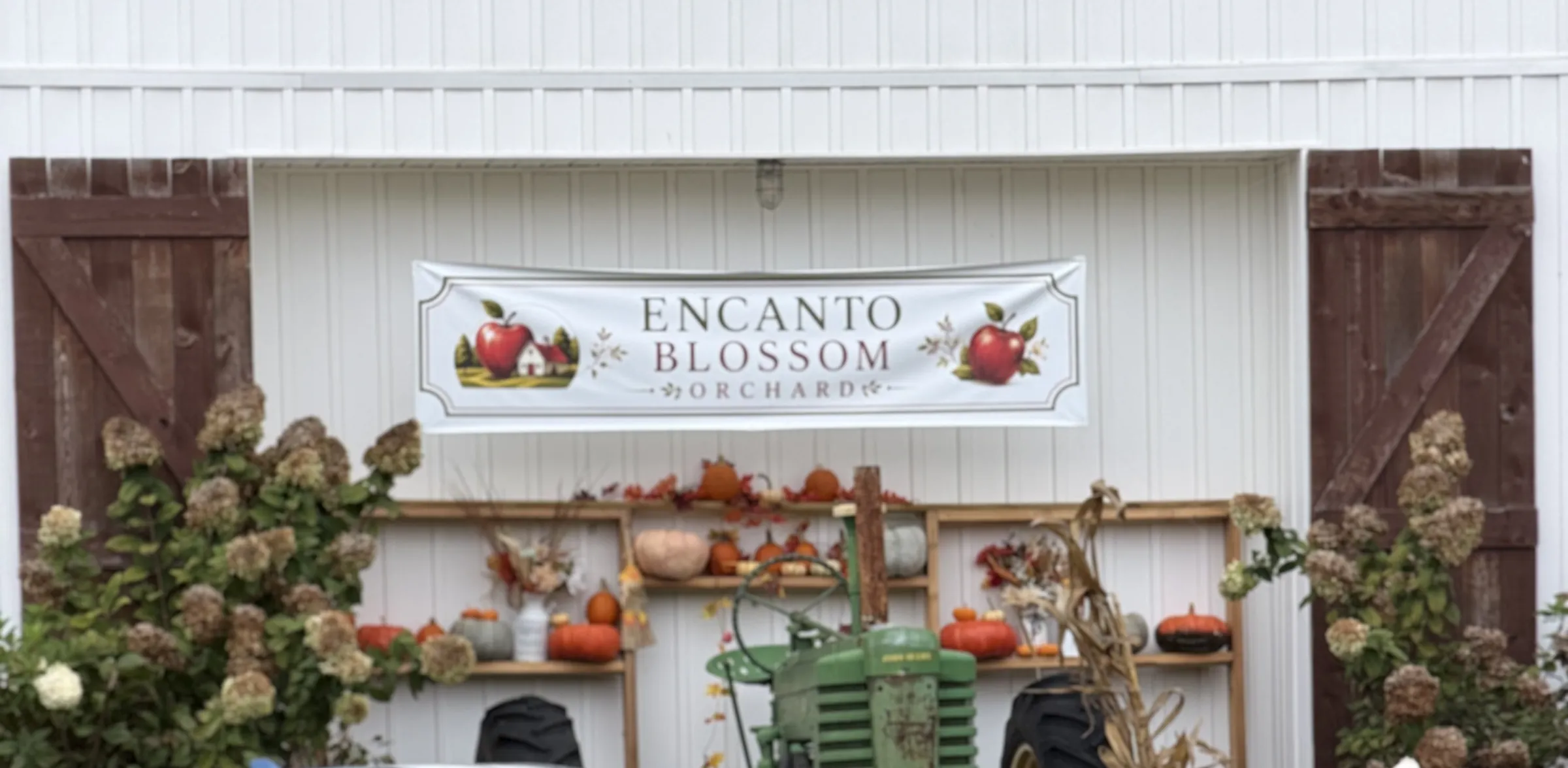 The Encanto banner above wooden shelves of fall decorations, hydrangeas and a vintage green tractor