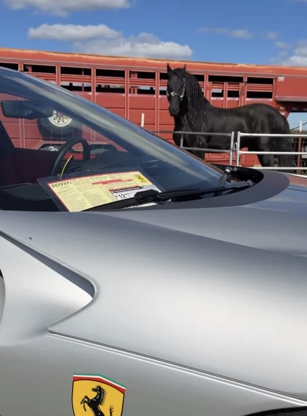 The silver Ferrari Purosangue at the ranch, the Ferrari shield on its fender, and the ranch's black horse standing at the red livestock trailer behind it