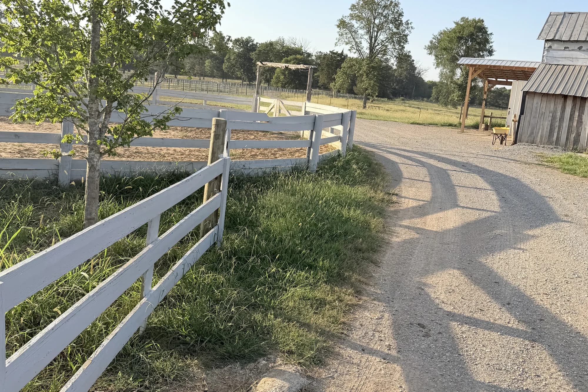 A white board fence beside a gravel lane at Rancho Jaramillo in low sun, trees and a pasture beyond